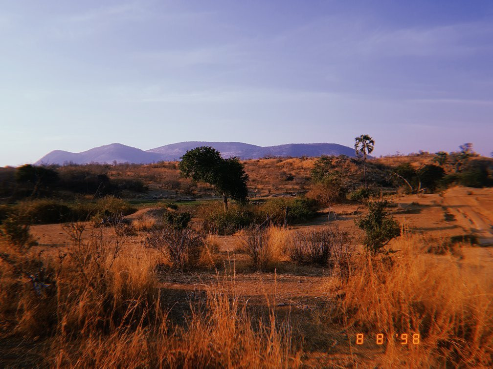 Chogela Safari Camp主图