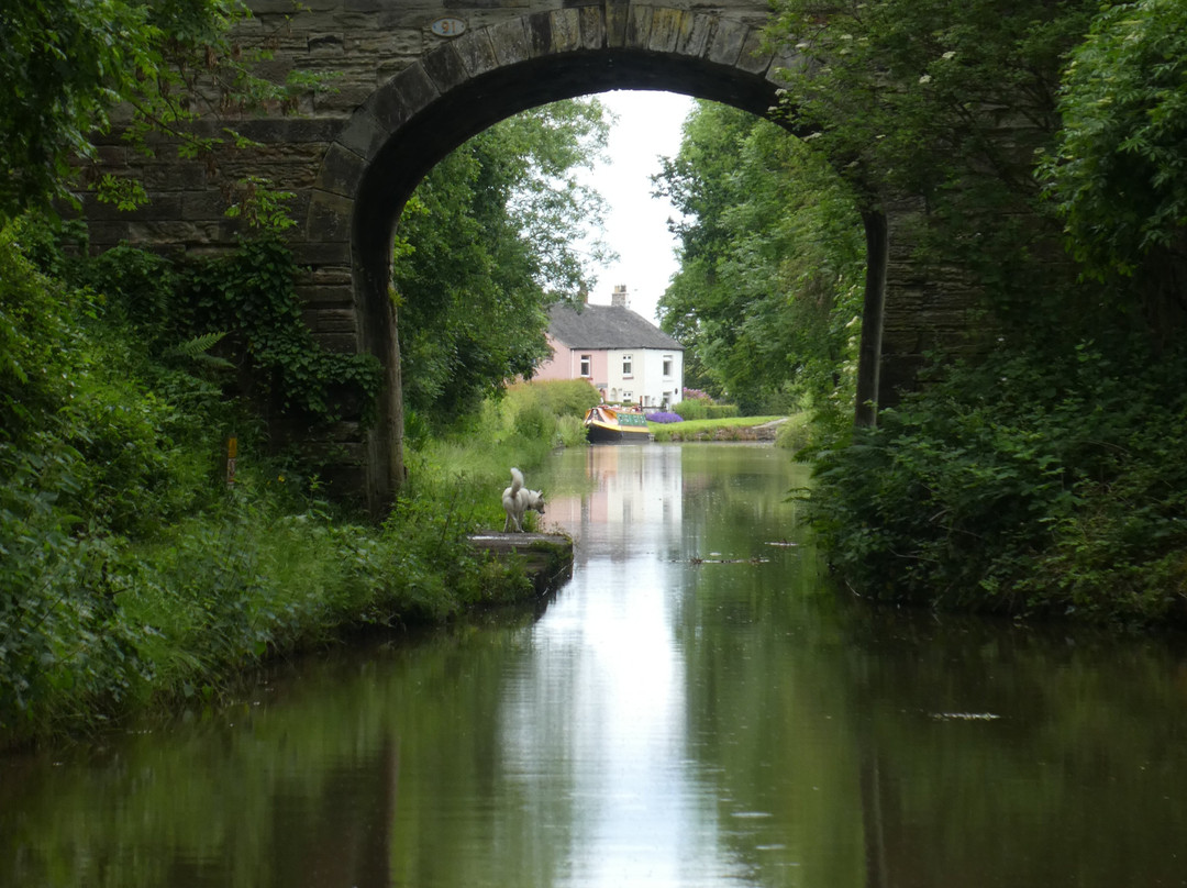 Macclesfield Canal景点图片