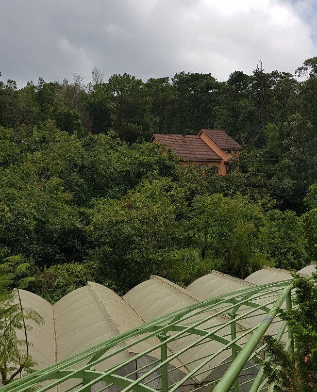 Fresh Garden-大勒必去景点