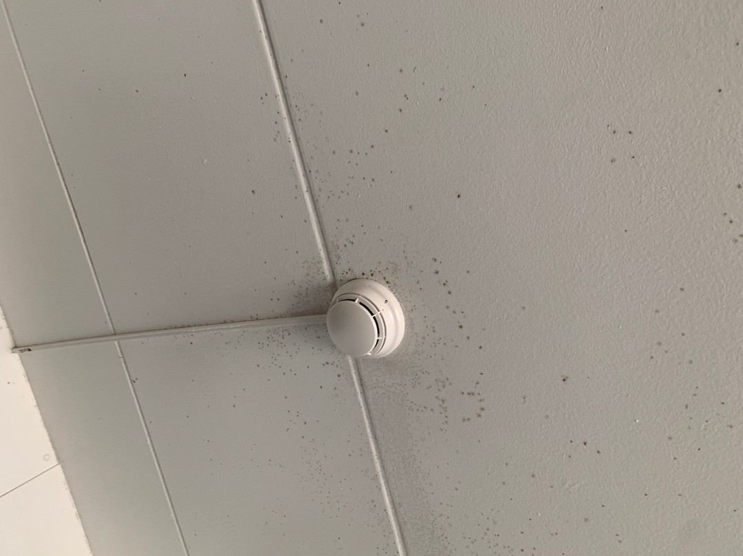 Hotel Krasnapolsky主图