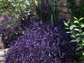 Little Woods Inn主图