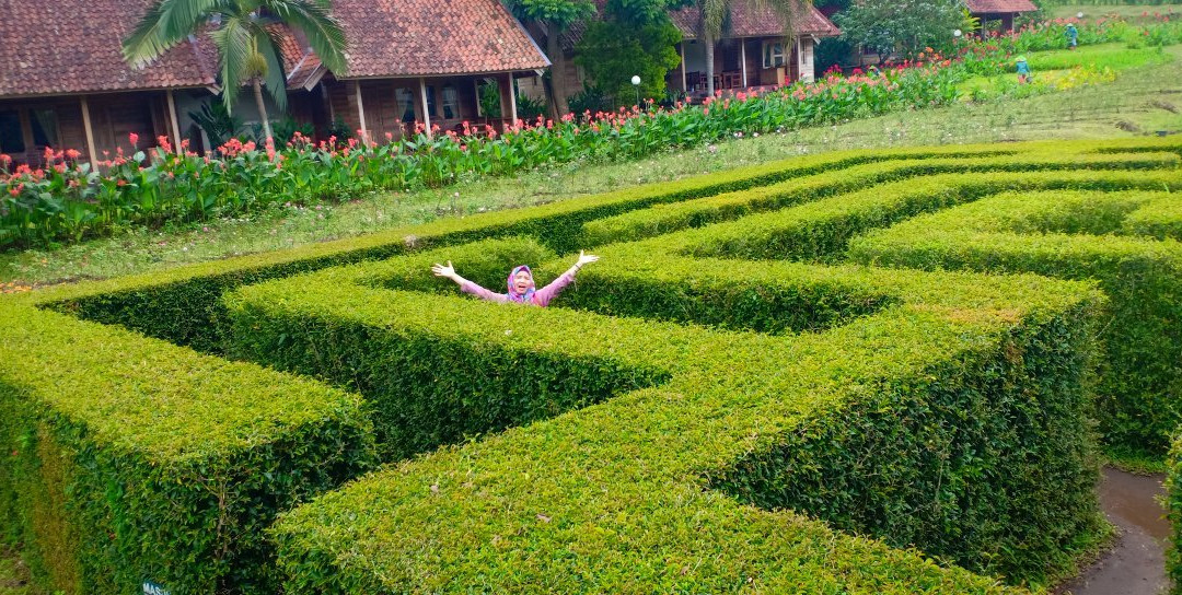 Kebun Mawar Garut景点图片