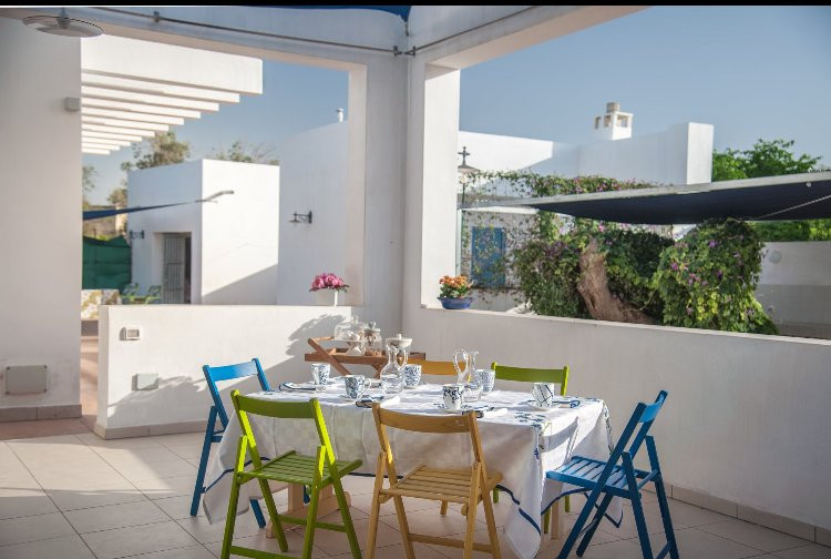 Microborgopasca主图