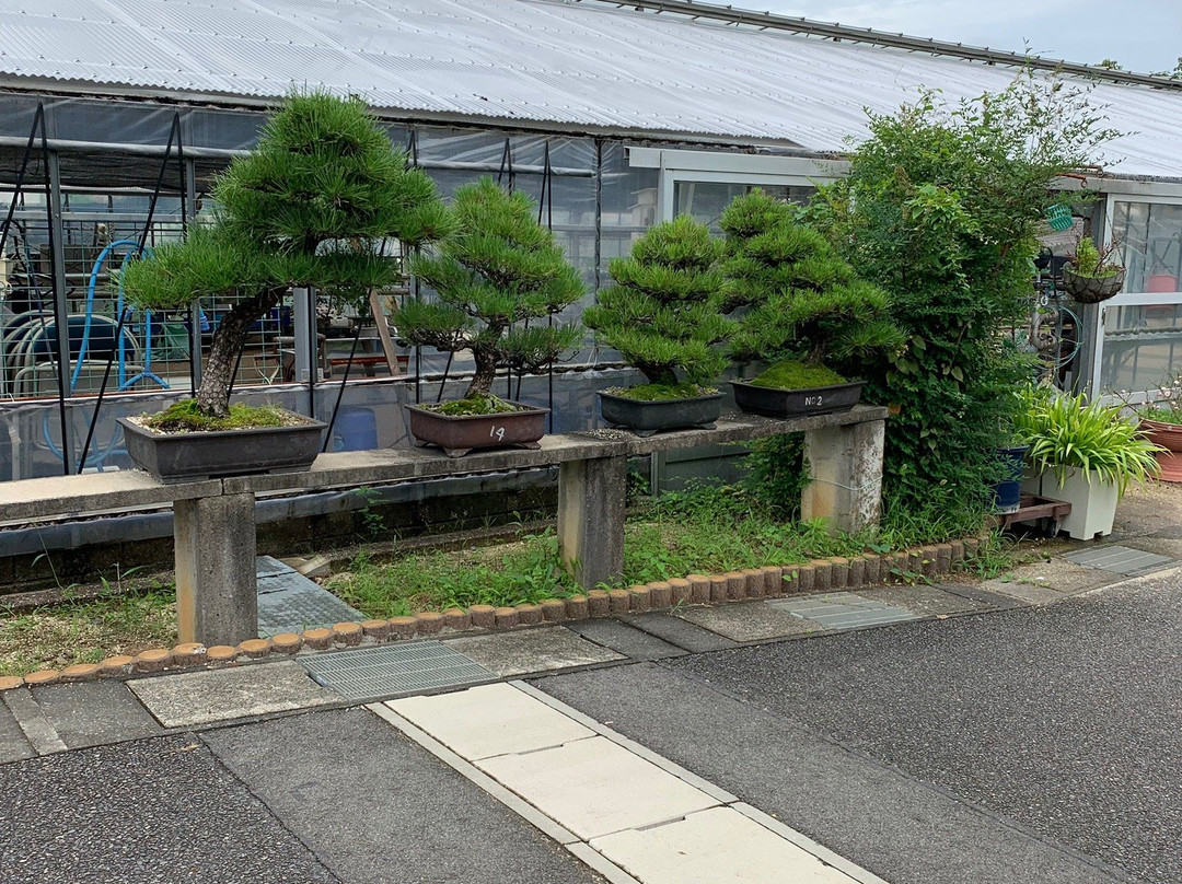 Nishiyama Park-丰田市必去景点