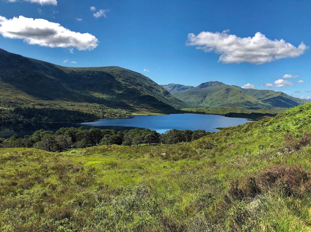 Loch Affric Circular Walk景点图片