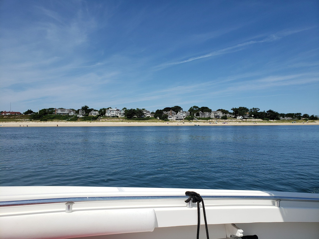 Harbor Seal Boat Tours景点图片