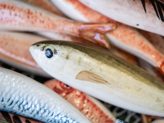 Nothing to Sea-罗维尼必去景点