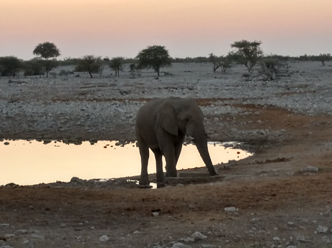 Karibu Safari-温德和克必去景点