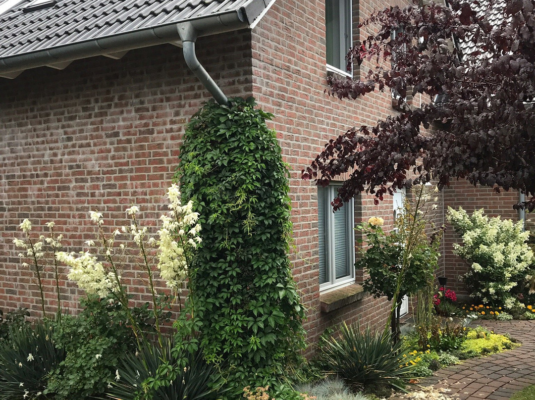 Landhaus Hammoor主图