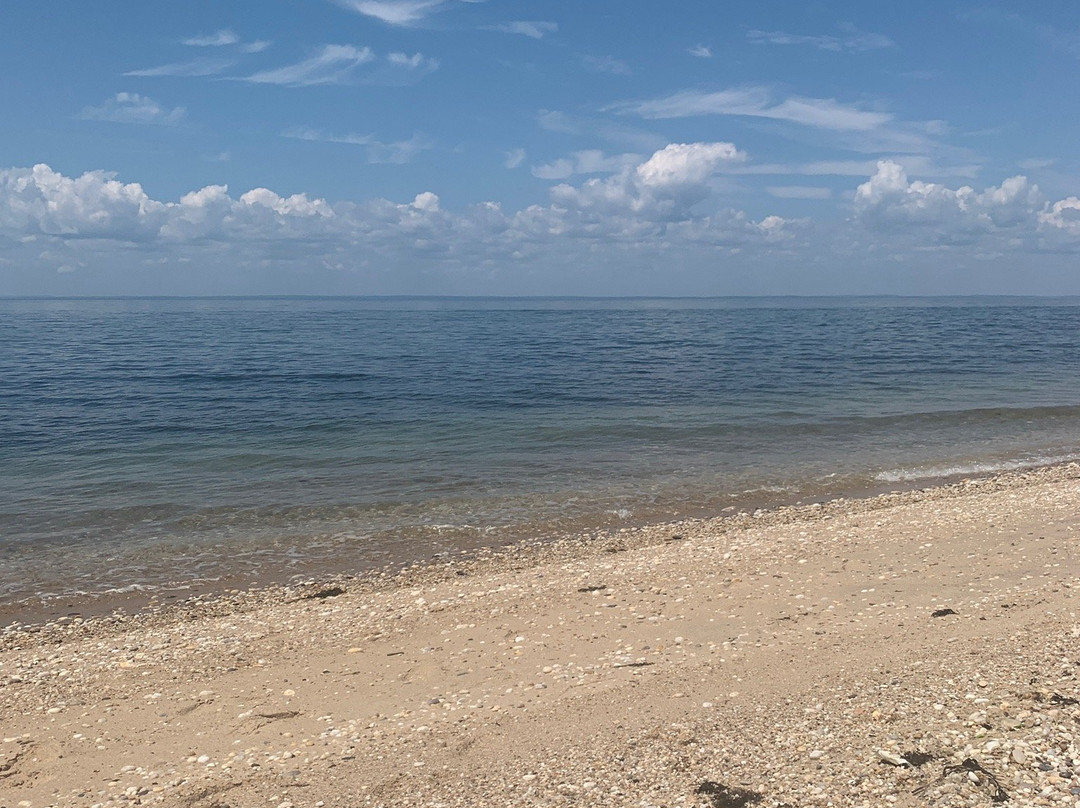 Mansion Beach-新肖勒姆必去景点