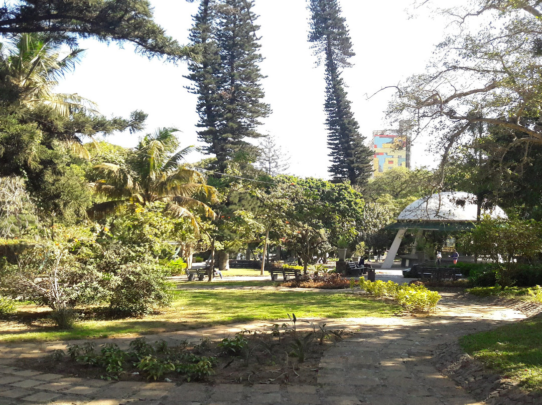 Tunduru Botanical Gardens景点图片