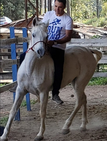 Haras Terra Nova Jundiaí-容迪亚伊必去景点