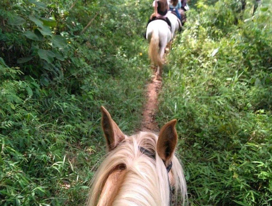 Haras Terra Nova Jundiaí-容迪亚伊必去景点