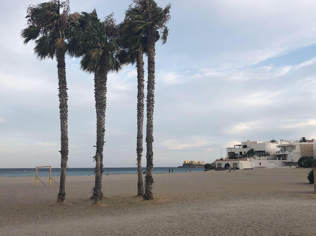 San Jose Beach景点图片