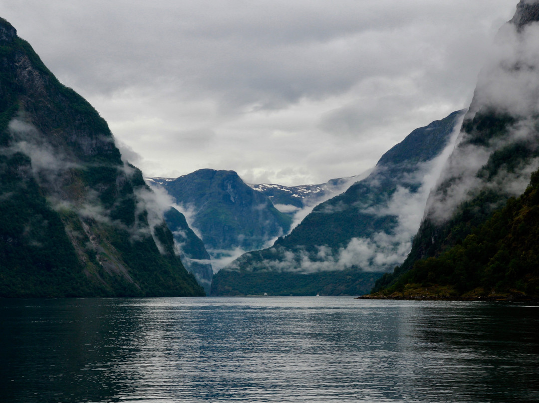 Rødne Fjord Cruise景点图片