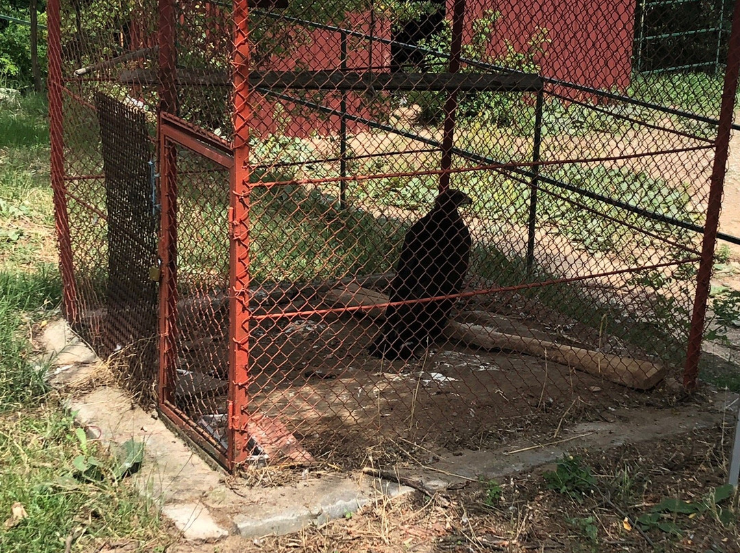 Zoo Bitola-Bitola必去景点