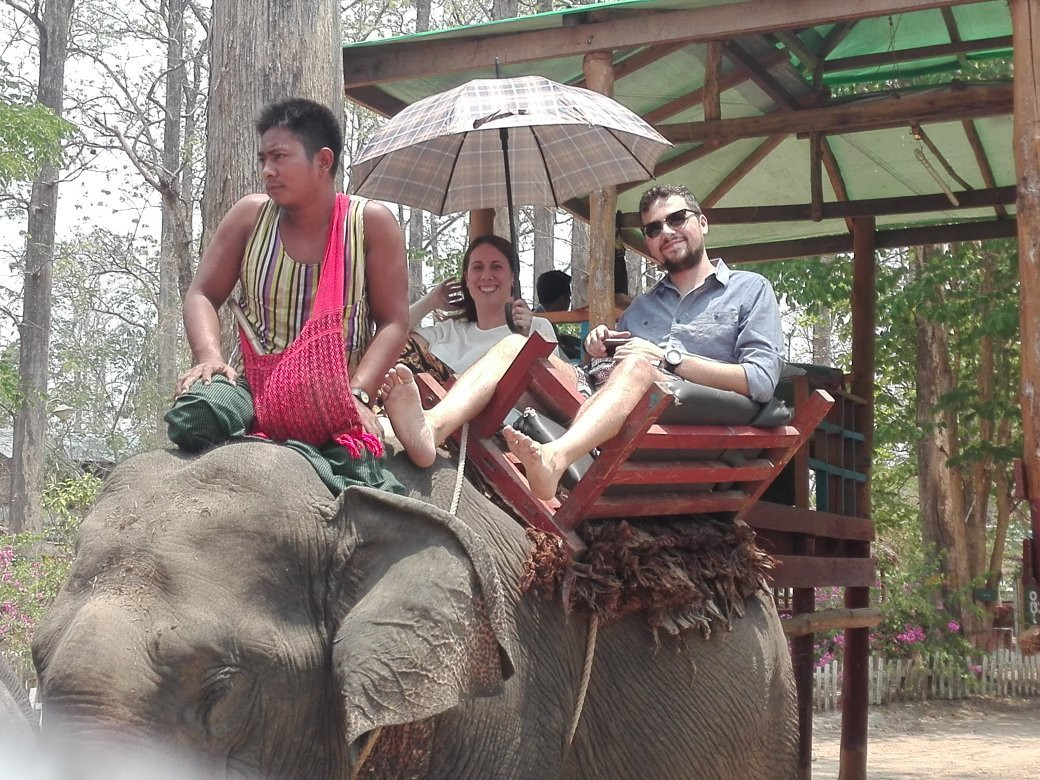 Pho Kyar Elephant Camp-Taungoo必去景点