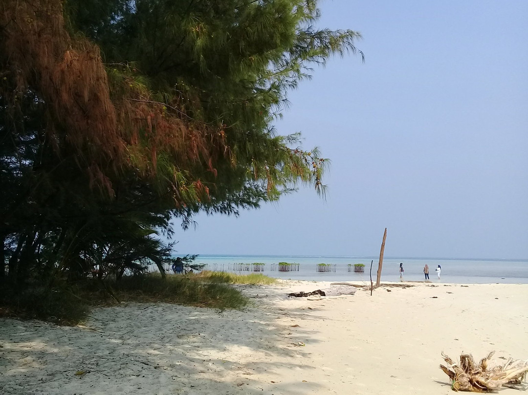 Semak Daun Island景点图片