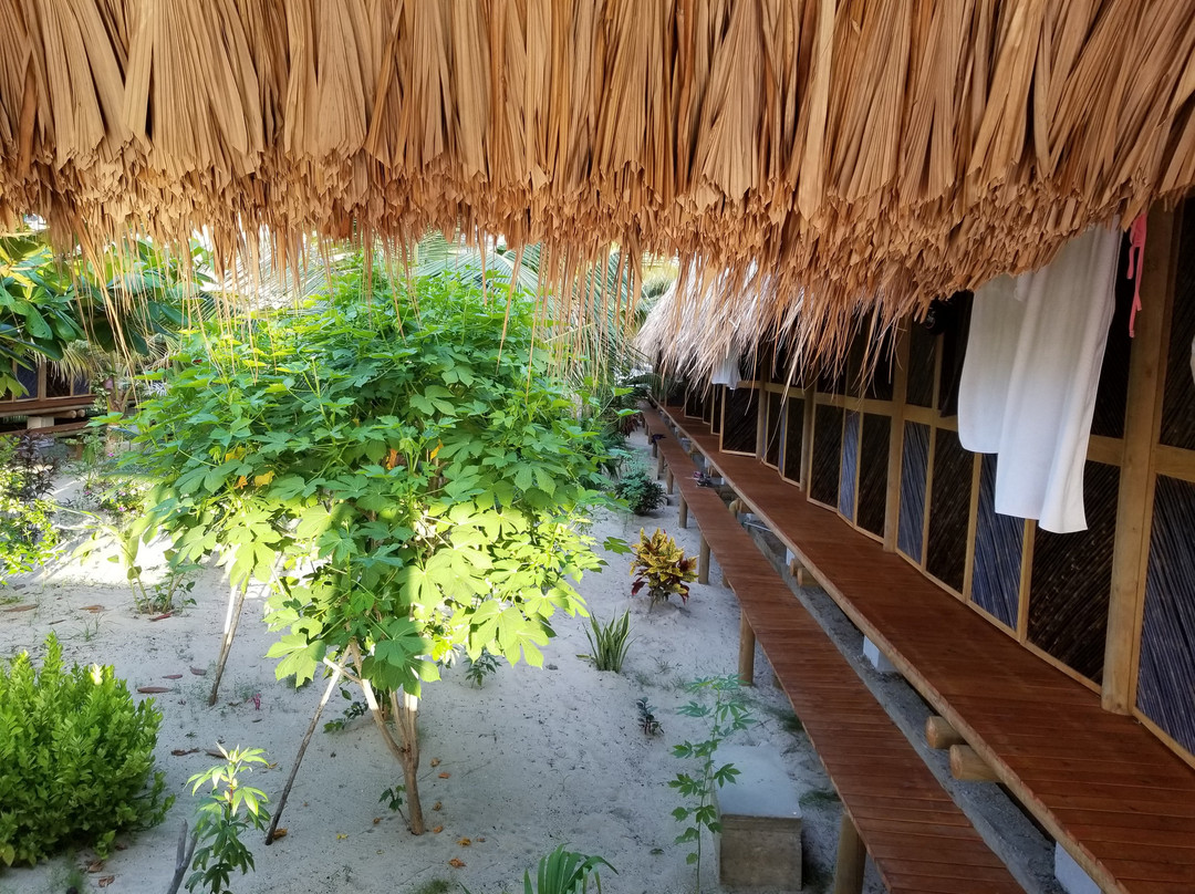 Dos Aguas Lodge主图