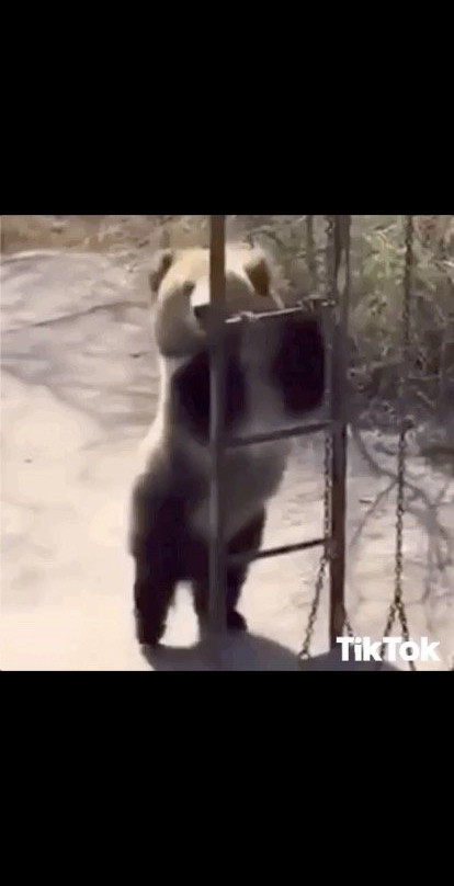 Shuttle to LAX-英格尔伍德必去景点