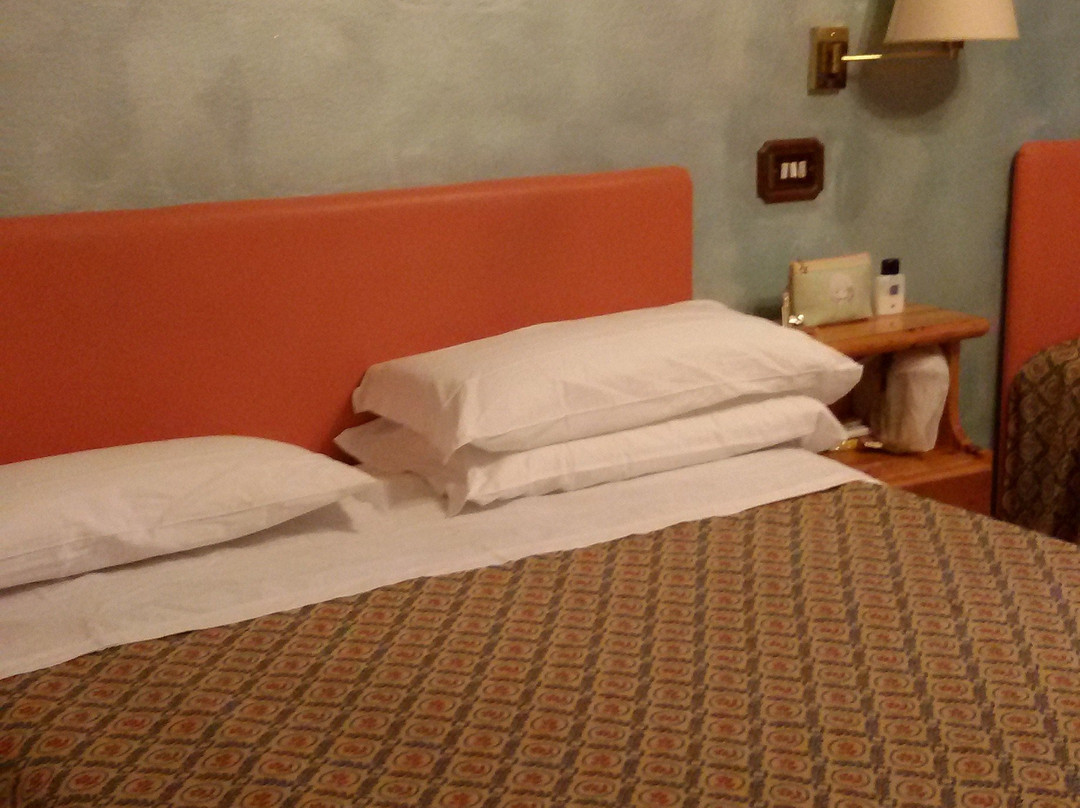 Hotel Cimone主图