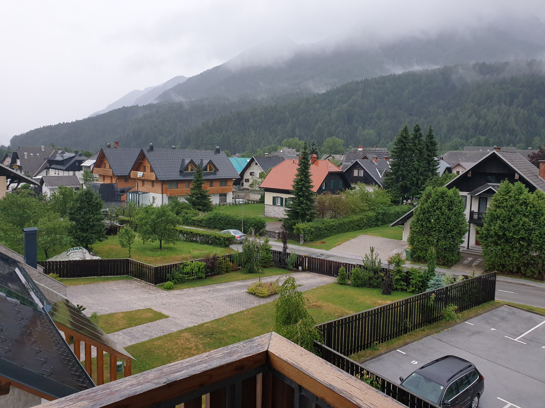 Boutique Skipass Hotel主图