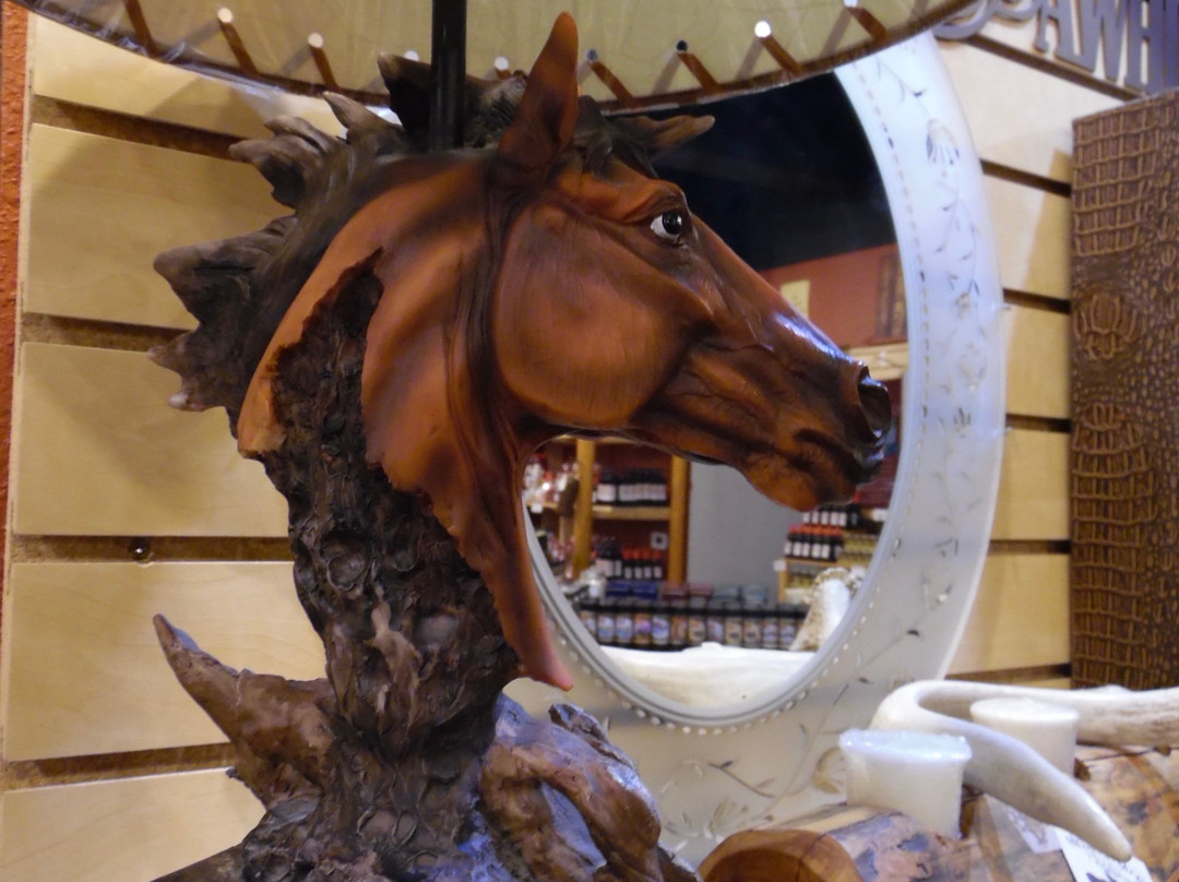 Wyoming Buffalo Company-科迪必去景点