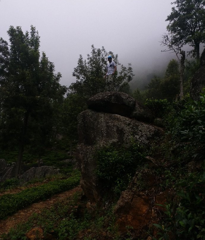 Devil's Staircase-Ohiya必去景点