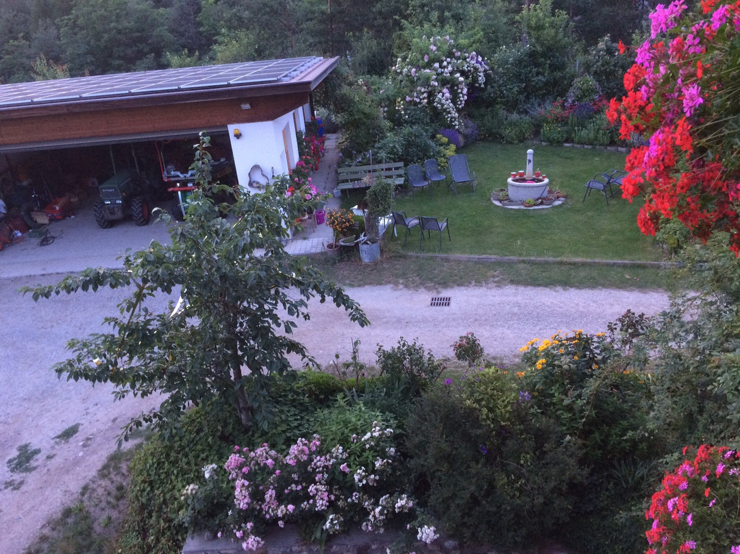 Peintnerhof Appartments & Zimmer主图