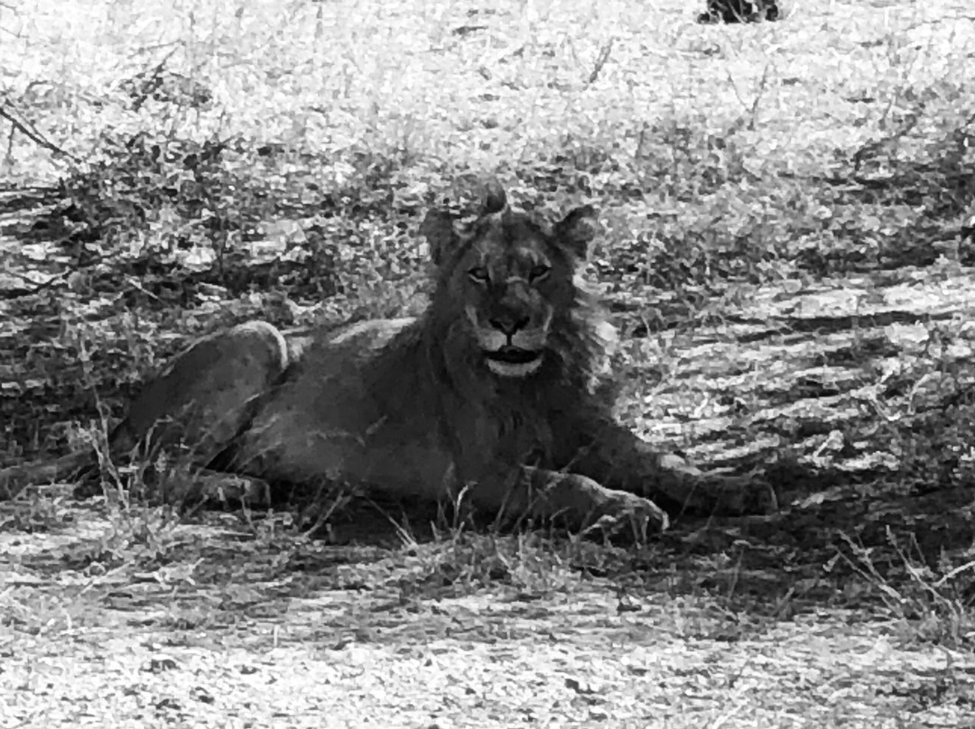 Crowned Eagle Tours and Safaris-雾观必去景点