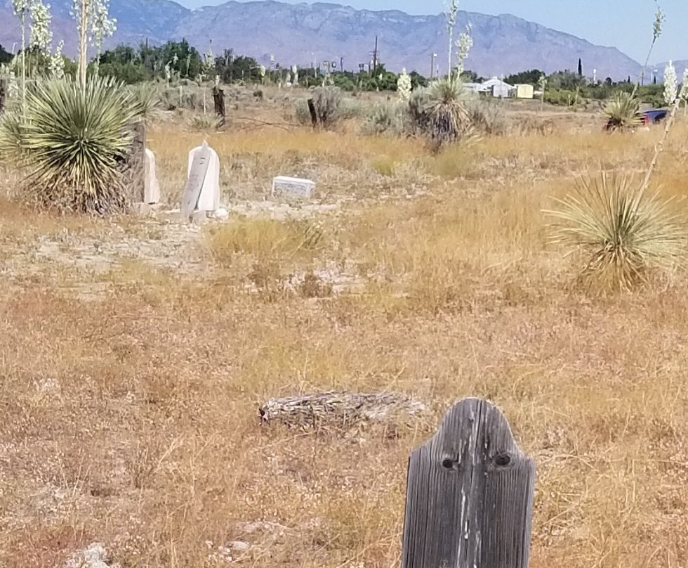 Willcox Pioneer Cemetery-Willcox必去景点
