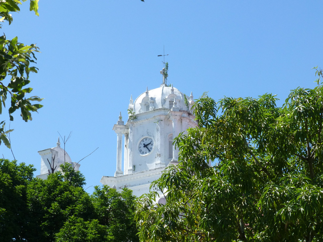 Catedral de San Jeronimo-Monteria必去景点