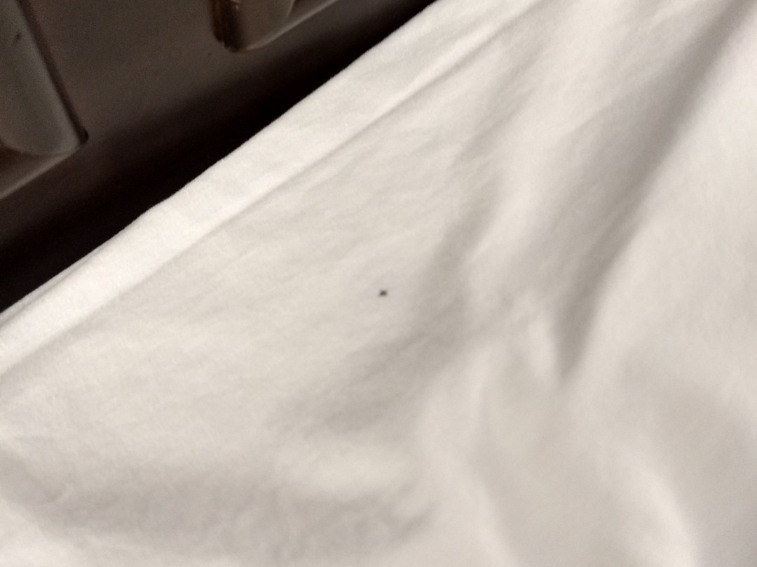 Spark by Hilton Greensboro主图