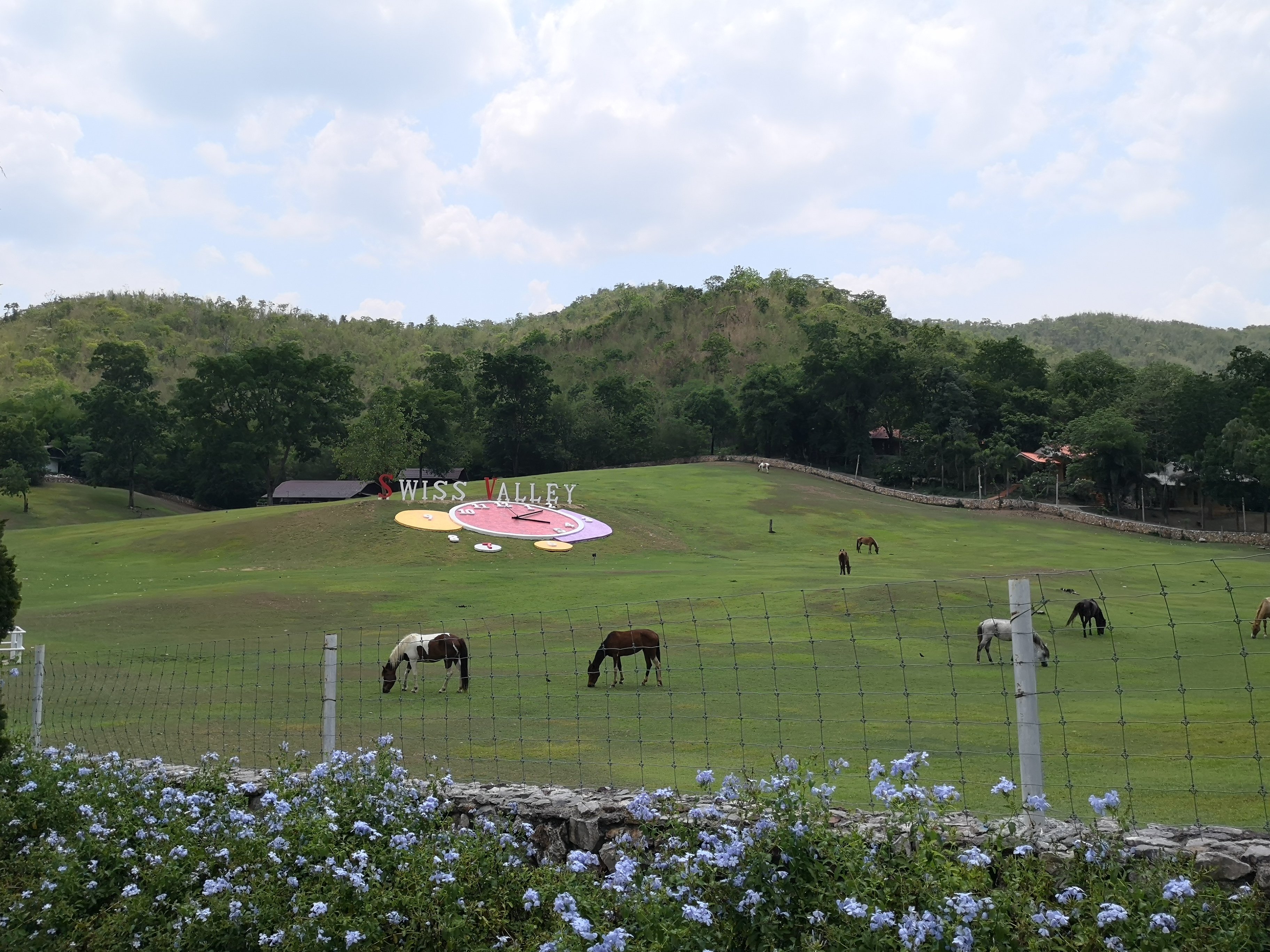 瑞士山谷希普度假村酒店-浴室
