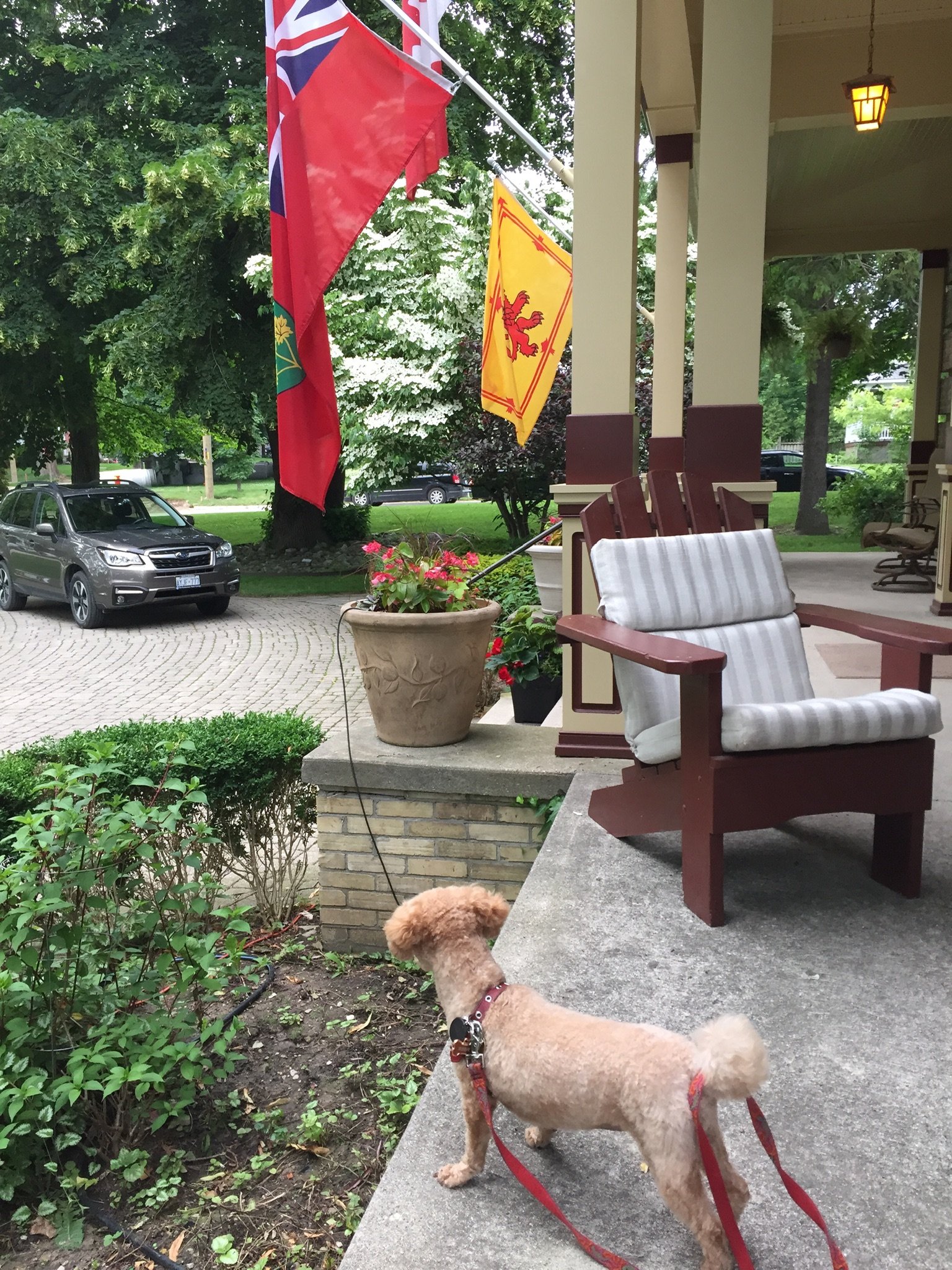 Kildonan House B&b-官方