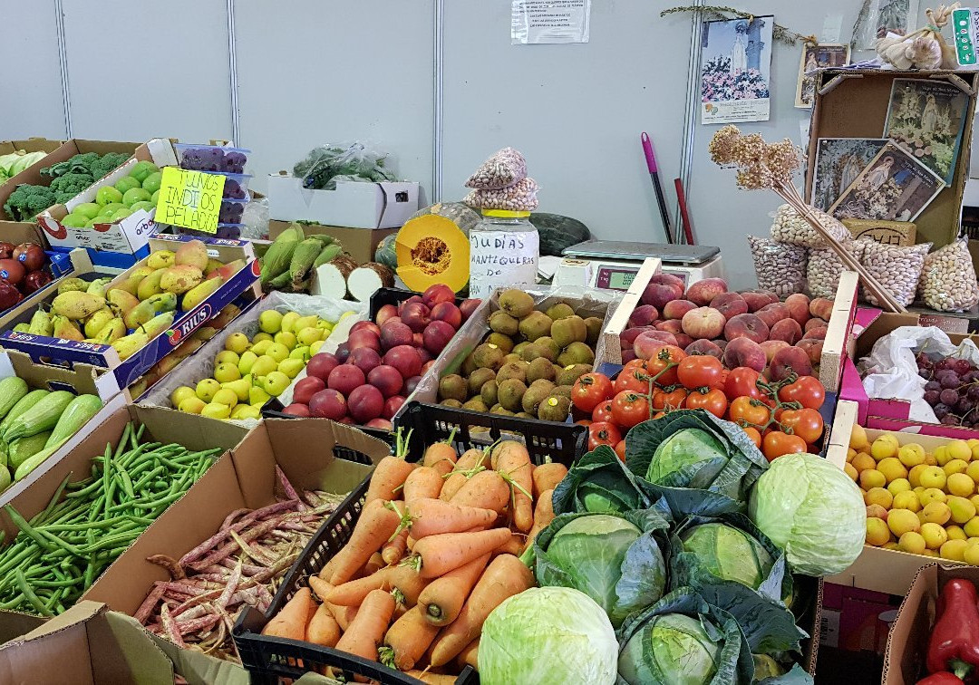 Mercado Agricola Vega de San Mateo景点图片
