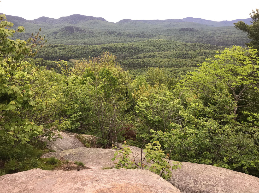 Cobble Hill-普莱西德湖必去景点