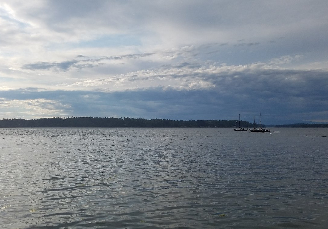 Boston Harbor Marina景点图片