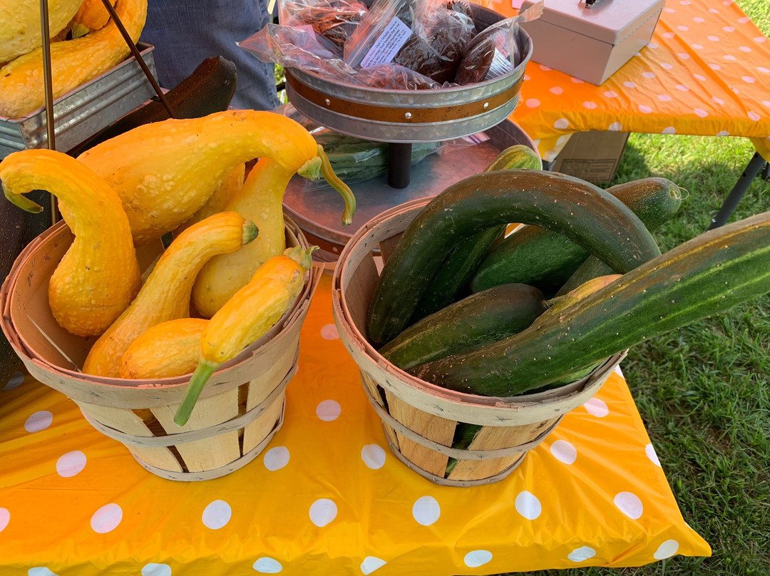 Asbury Church Farmers Market-Smyrna必去景点