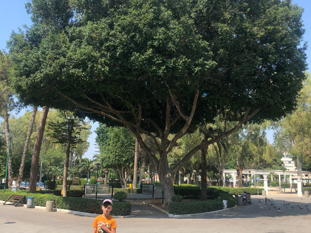 Limassol Municipal Gardens-利马索尔必去景点