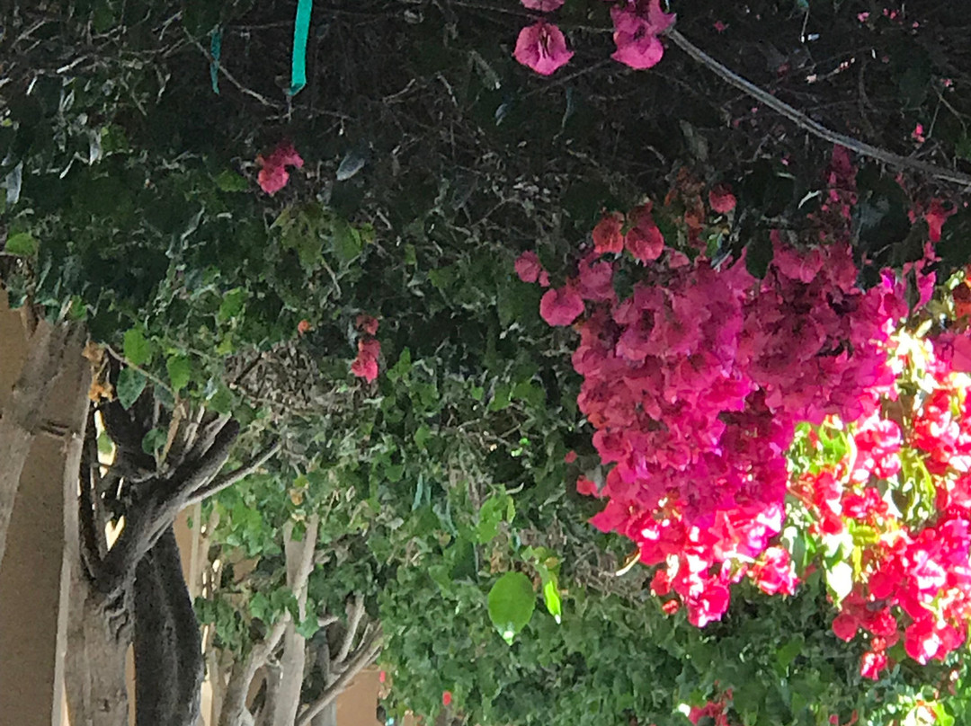 马车小屋美洲最佳价值酒店主图