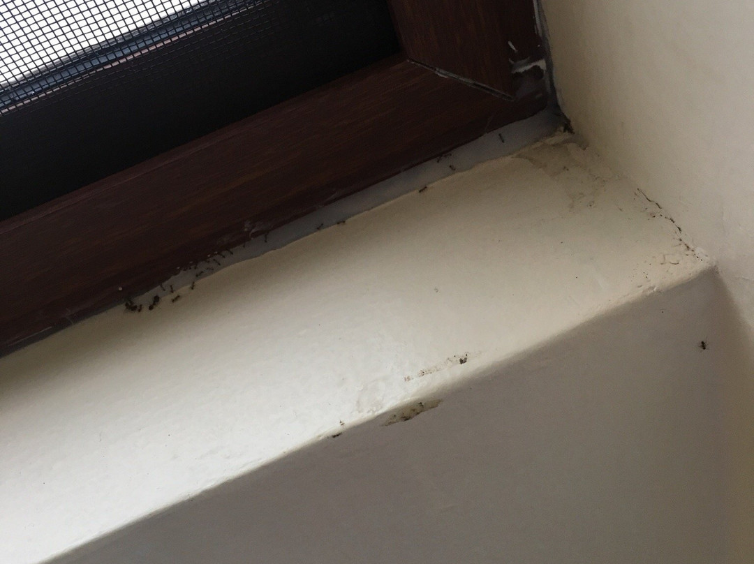 Hotel Descanso Del Guía主图