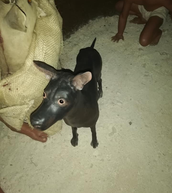 Choco Story-巴利亚多利德必去景点