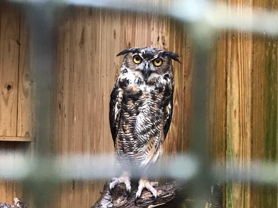 Environmental Studies Center-莫比尔必去景点