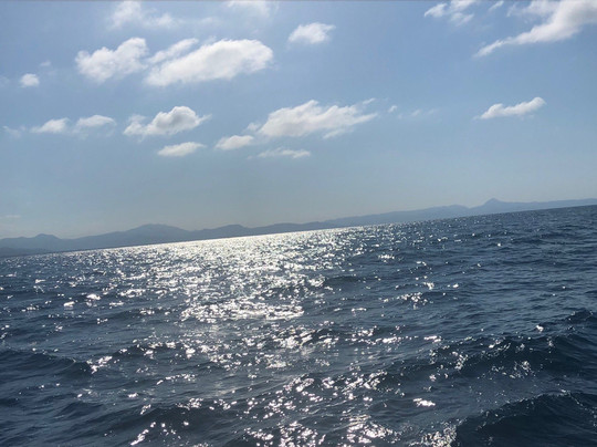 Mundo Marino Javea-哈韦阿必去景点