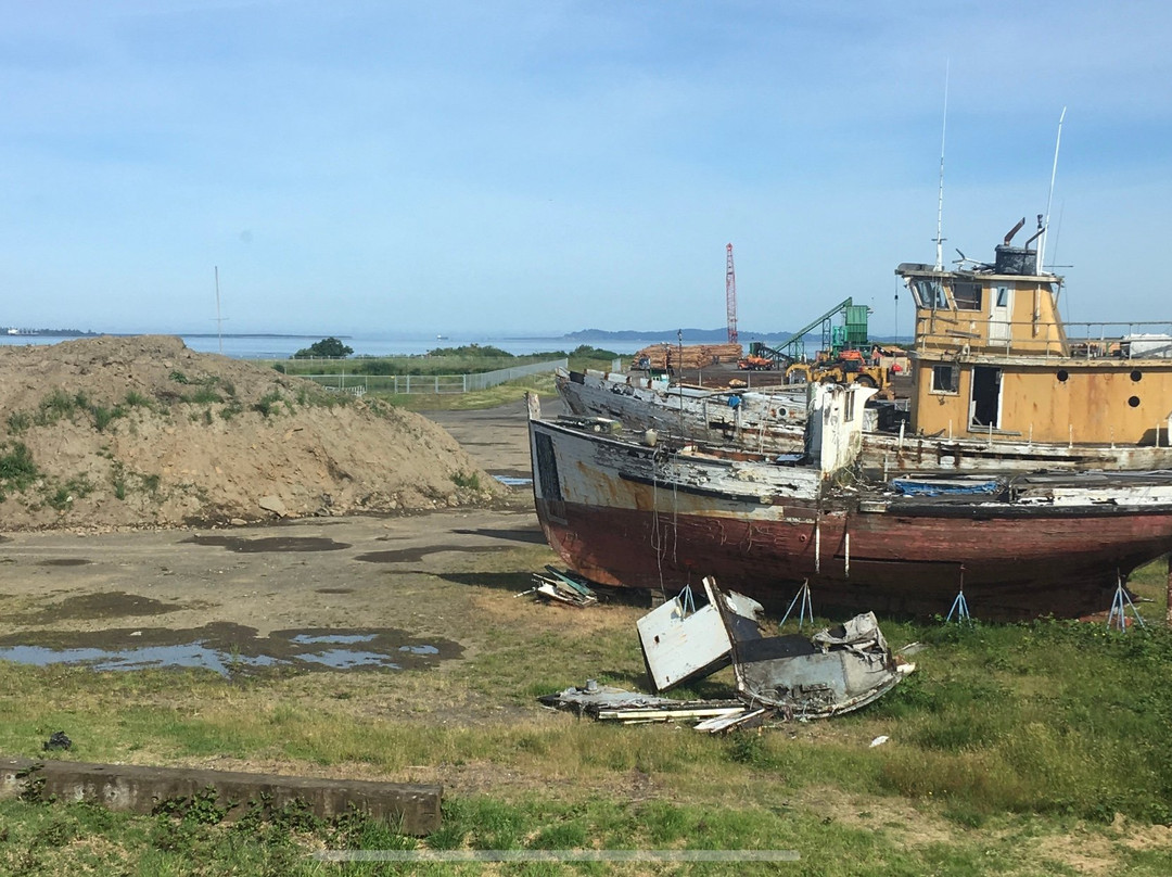 Lloyd Hotel Astoria Bayfront, Ascend Hotel Collection主图