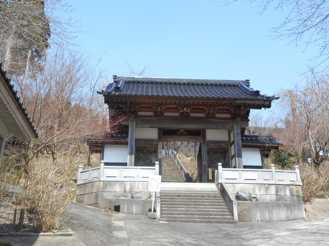 Byodo-ji Temple景点图片