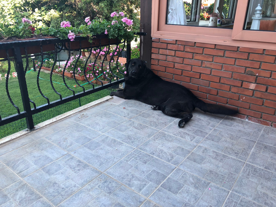 Hotel Restaurant A La Ville De Nancy主图