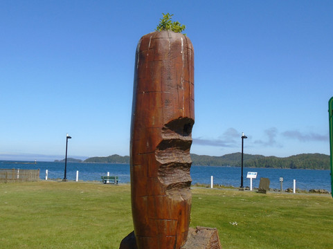 Carrot Park-哈迪港必去景点