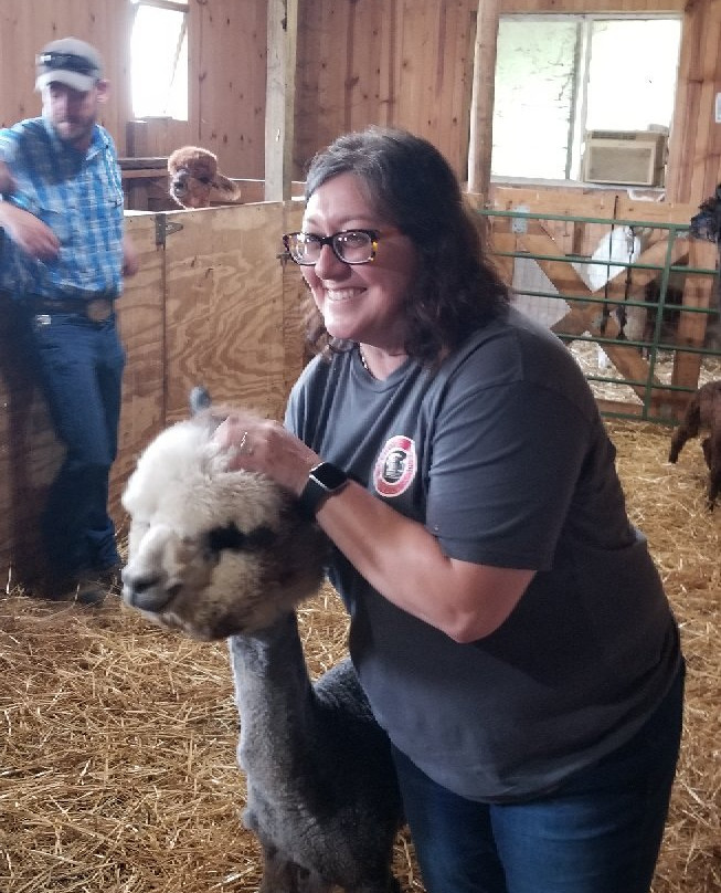 Tiskilwa Farms Alpacas景点图片